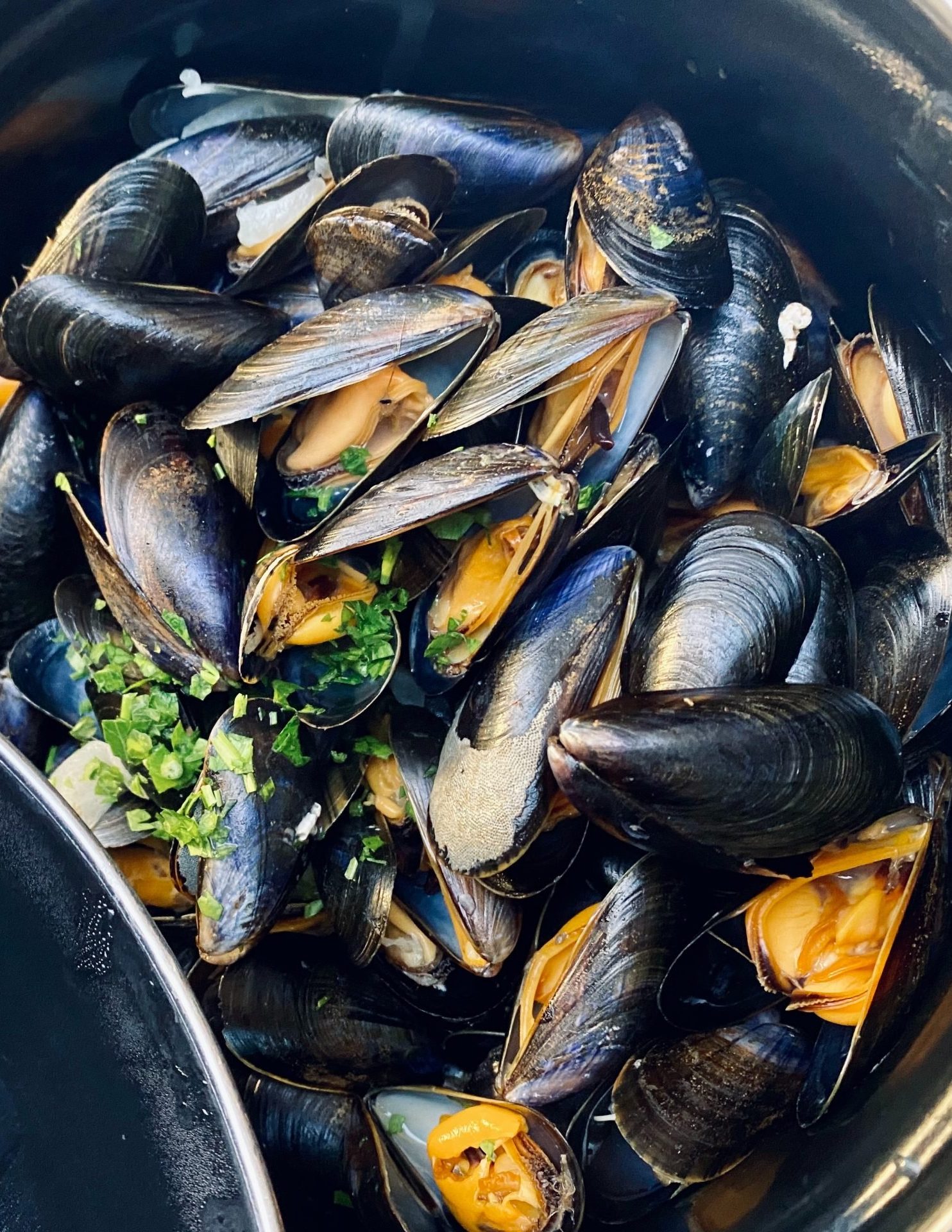 Biclou Blanche Moulins d'Ascq